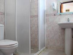 Zimmerbild 8