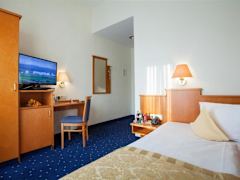 Zimmerbild 4