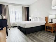 Zimmerbild 2