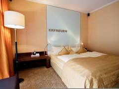 Zimmerbild 7