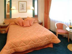 Zimmerbild 6