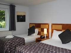 Zimmerbild 6