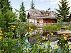 Zimmerbild 9