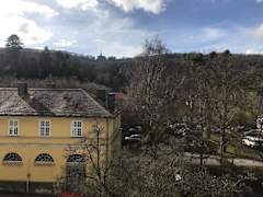 Zimmerbild 1