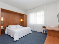 Zimmerbild 1