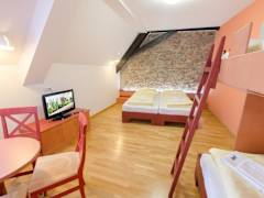 Zimmerbild 2