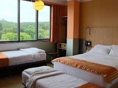 Zimmerbild 8