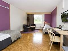 Zimmerbild 1
