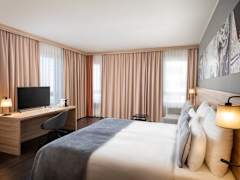 Zimmerbild 3