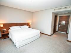 Zimmerbild 1