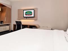 Zimmerbild 1