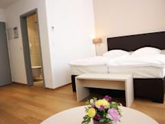 Zimmerbild 8