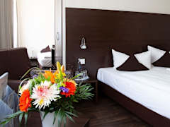 Zimmerbild 8