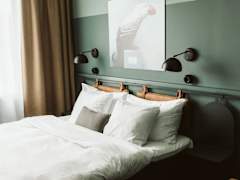 Zimmerbild 3