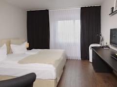Zimmerbild 1