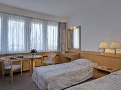 Zimmerbild 16