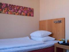 Zimmerbild 13