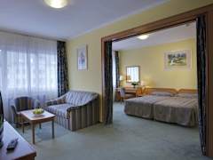 Zimmerbild 14