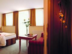 Zimmerbild 10