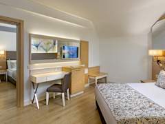 Zimmerbild 11