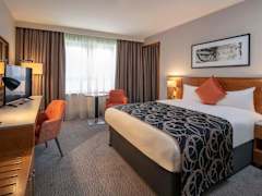 Zimmerbild 8