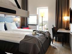 Zimmerbild 1