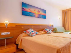 Zimmerbild 1
