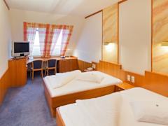Zimmerbild 9