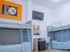 Zimmerbild 2