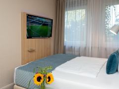 Zimmerbild 0
