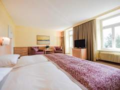 Zimmerbild 4