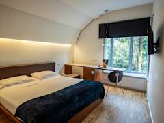 Zimmerbild 4