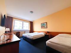 Zimmerbild 1