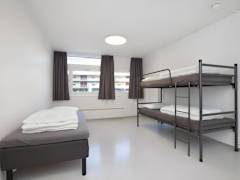 Zimmerbild 3