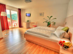 Zimmerbild 3