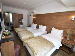 Zimmerbild 3