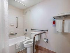 Zimmerbild 6