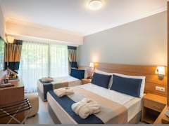 Zimmerbild 4