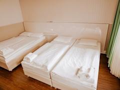 Zimmerbild 6