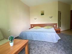Zimmerbild 3