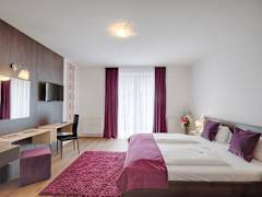 Zimmerbild 3