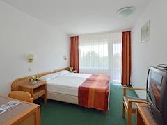 Zimmerbild 1