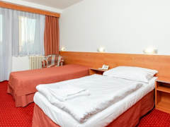 Zimmerbild 3