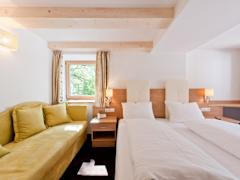 Zimmerbild 4
