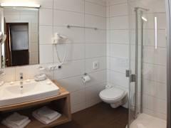 Zimmerbild 6