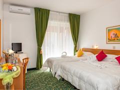 Zimmerbild 6