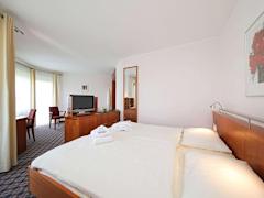 Zimmerbild 8