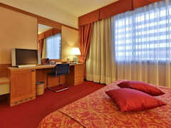 Zimmerbild 1