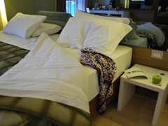 Zimmerbild 3