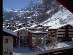 Zimmerbild 6